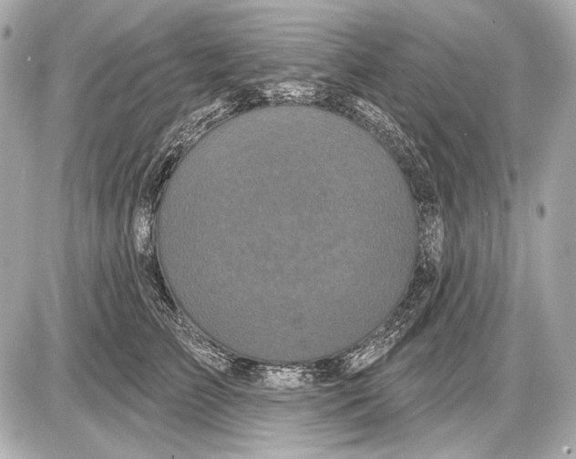 X0000085820709200704091632