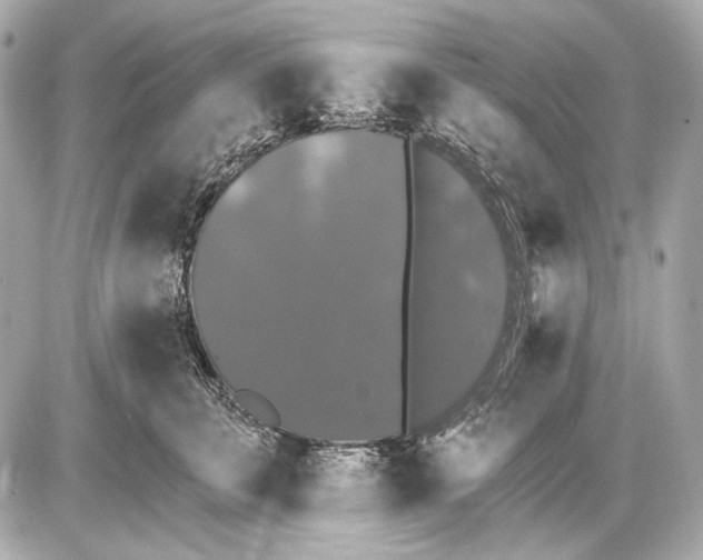 X0000085820711200704091632