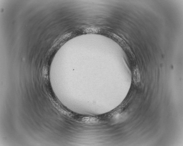 X0000085820714200704091632