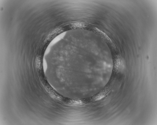 X0000085820715200704091632