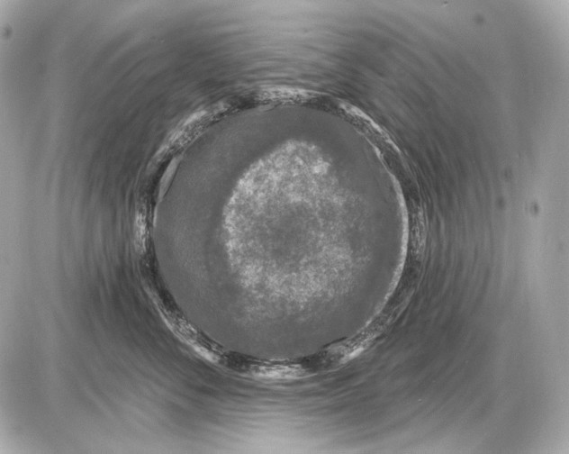 X0000085820716200704091632