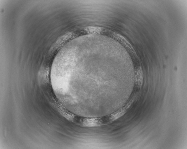 X0000085820717200704091632