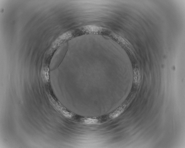 X0000085820718200704091632