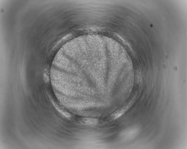 X0000085820719200704091632