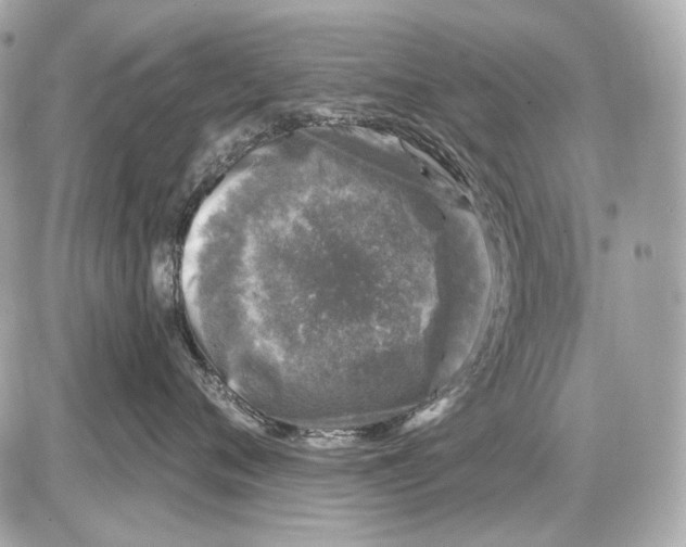 X0000085820720200704091632