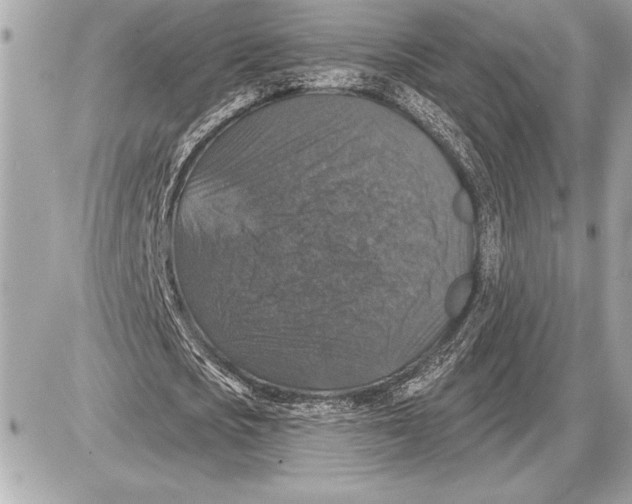 X0000085820721200704091631