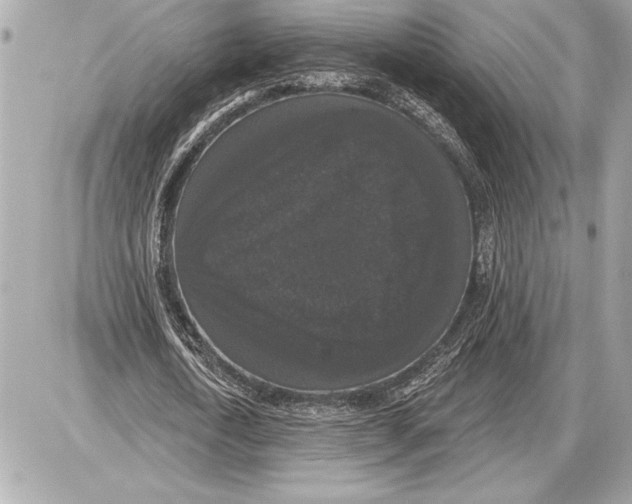 X0000085820722200704091631