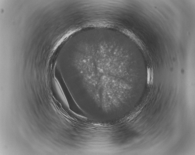 X0000085820723200704091631