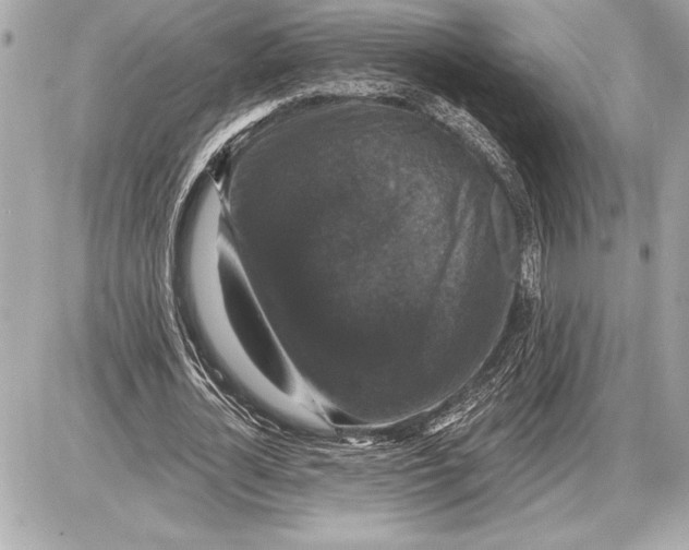 X0000085820724200704091631