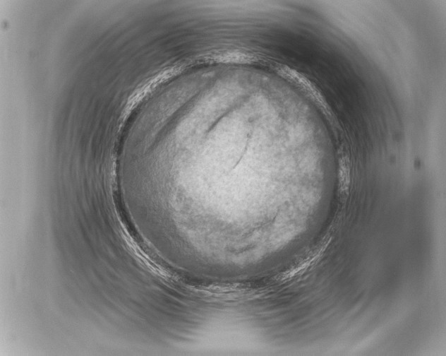 X0000085820725200704091631