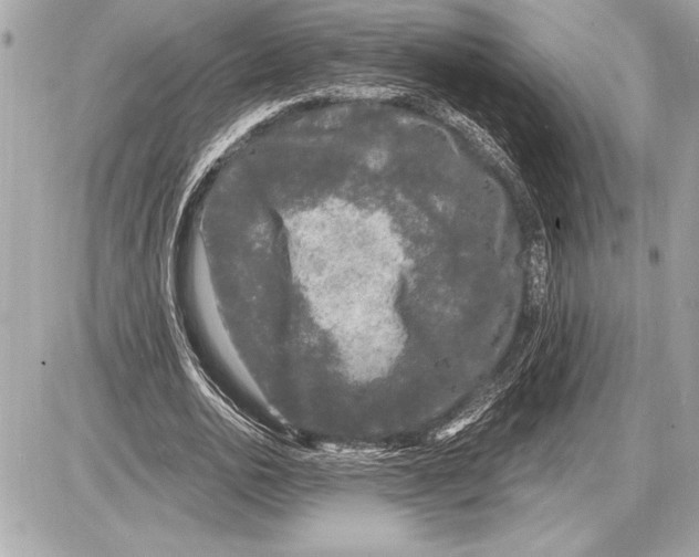 X0000085820726200704091631