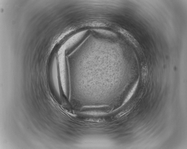 X0000085820727200704091631