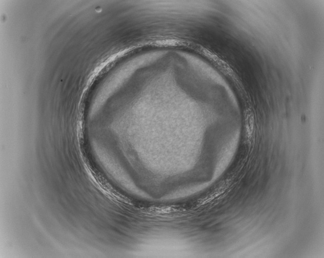 X0000085820728200704091631