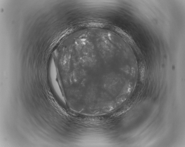 X0000085820729200704091631