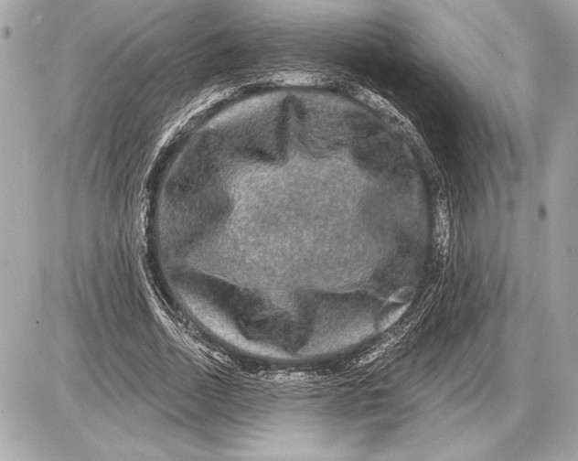 X0000085820730200704091631