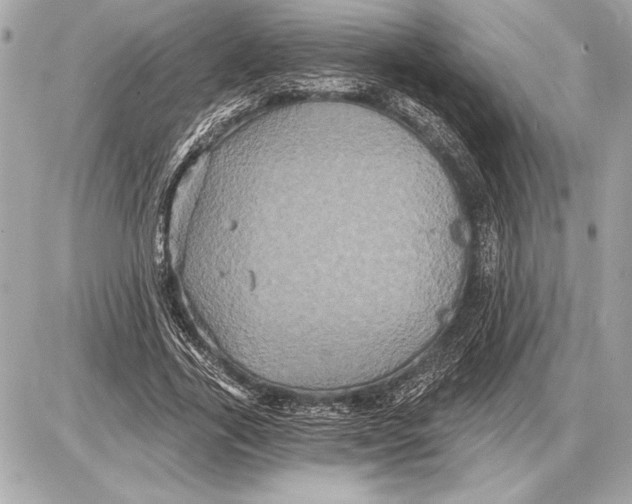 X0000085820731200704091631