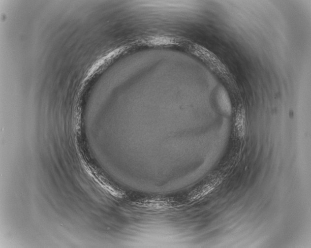 X0000085820732200704091631