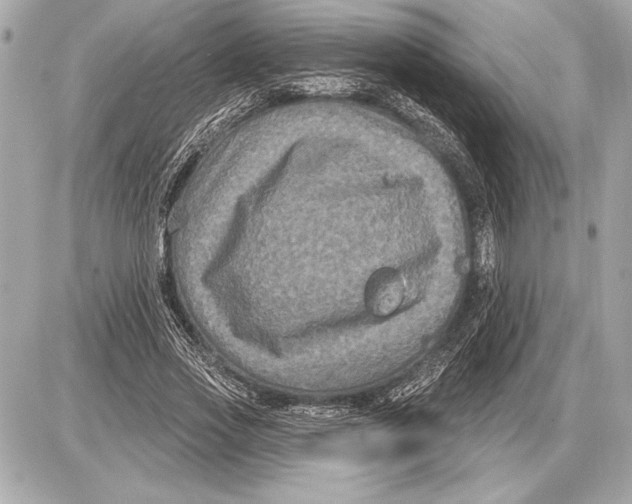 X0000085820733200704091631