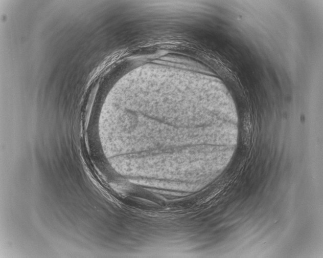 X0000085820734200704091631