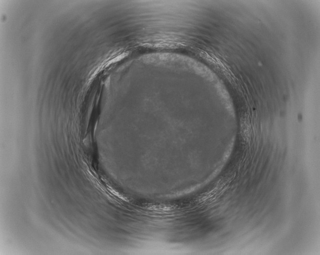 X0000085820735200704091631