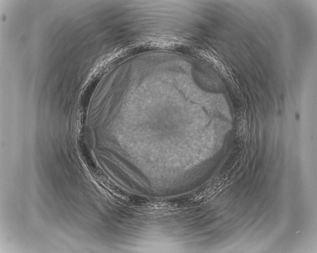 X0000085820736200704091631