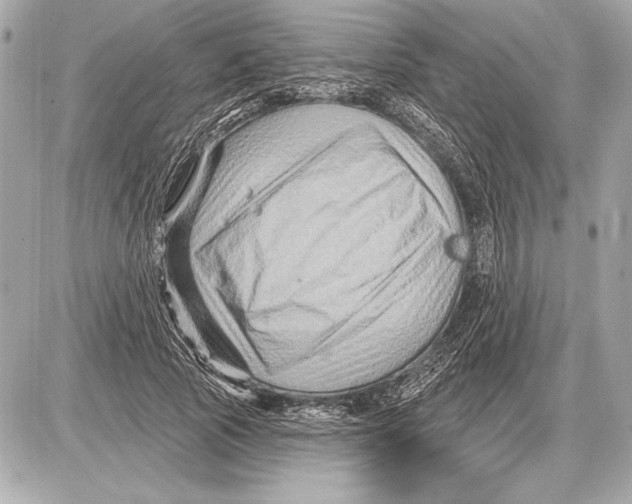 X0000085820737200704091631