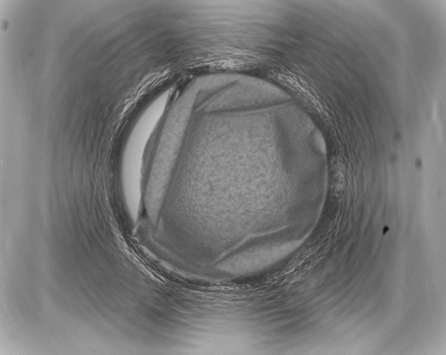 X0000085820738200704091631