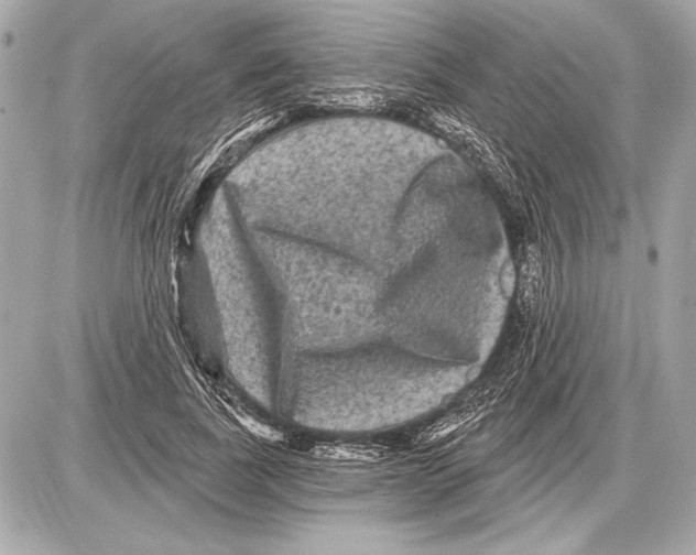 X0000085820739200704091631