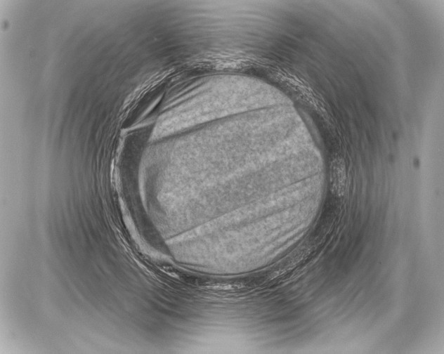 X0000085820740200704091632