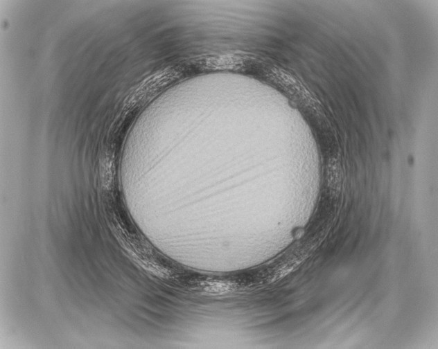 X0000085820741200704091632