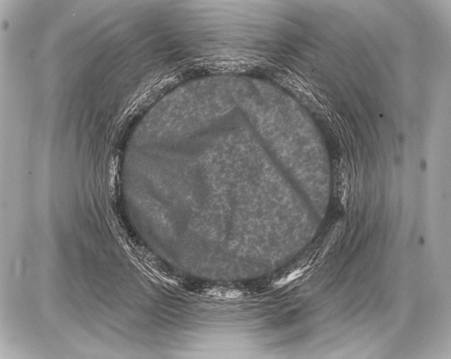 X0000085820742200704091632