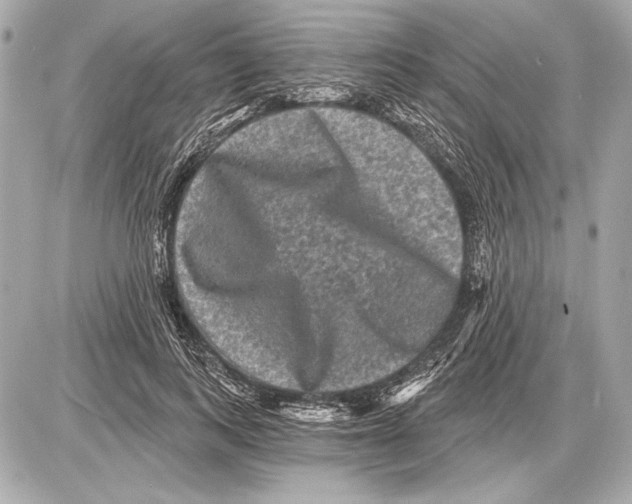 X0000085820743200704091632