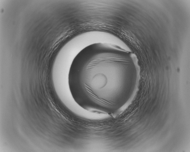 X0000085820744200704091632