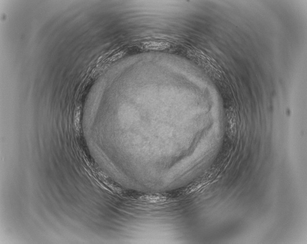 X0000085820745200704091632