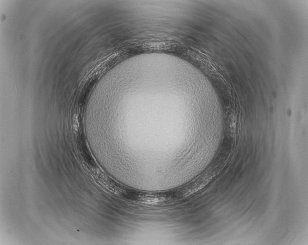 X0000085820746200704091632