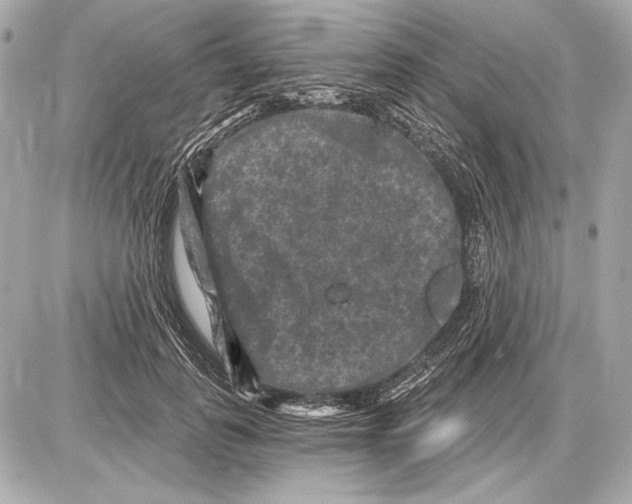 X0000085820747200704091632