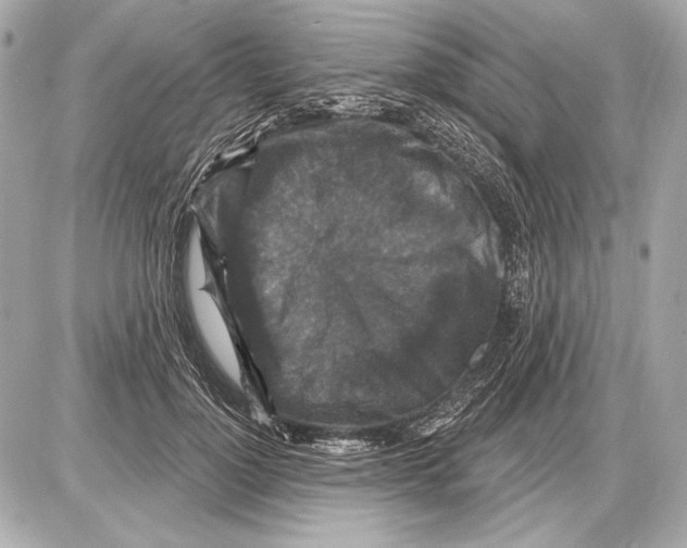 X0000085820748200704091632