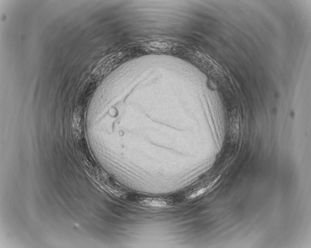 X0000085820749200704091632