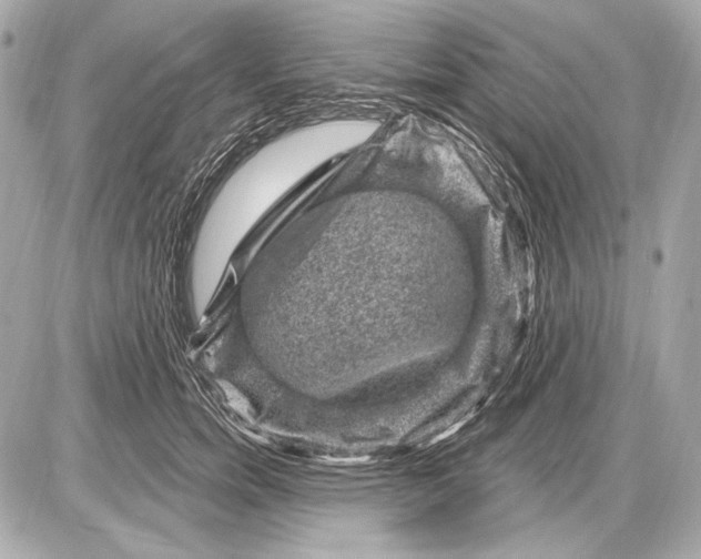 X0000085820750200704091632