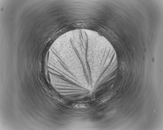 X0000085820751200704091632