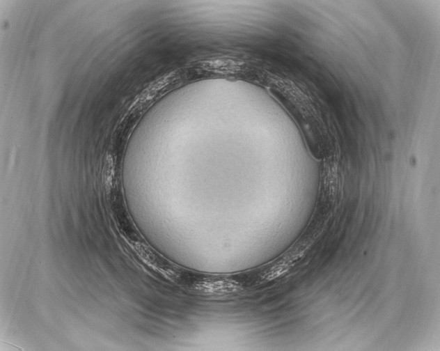 X0000085820752200704091632