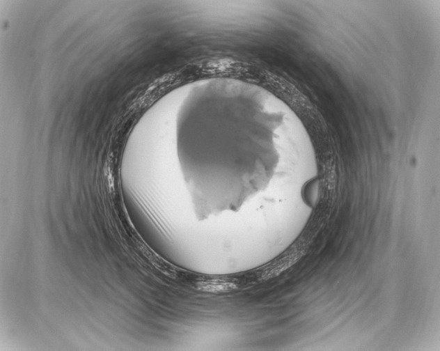 X0000085820754200704091632