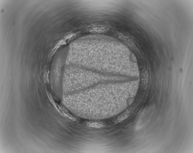 X0000085820755200704091632