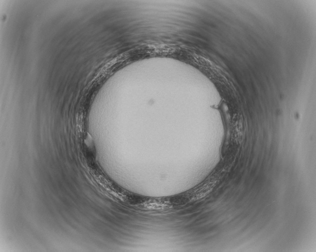 X0000085820756200704091632