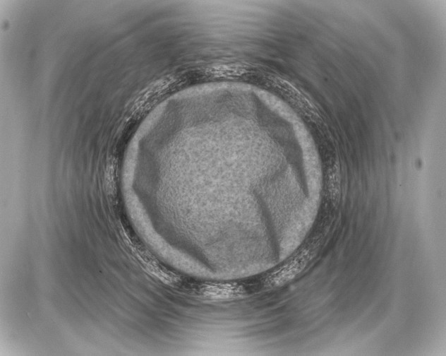 X0000085820757200704091632