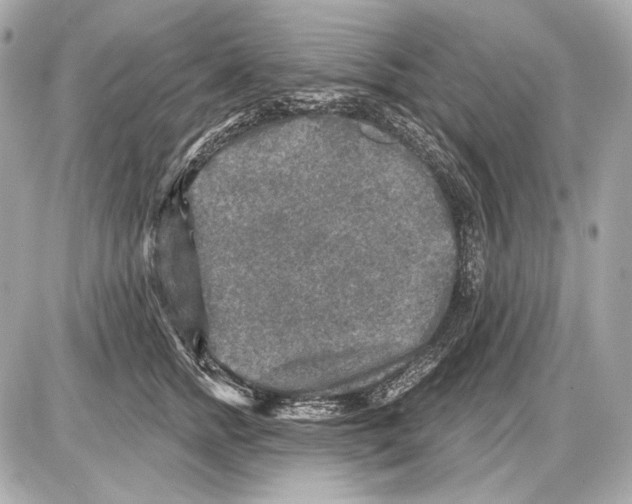 X0000085820758200704091632