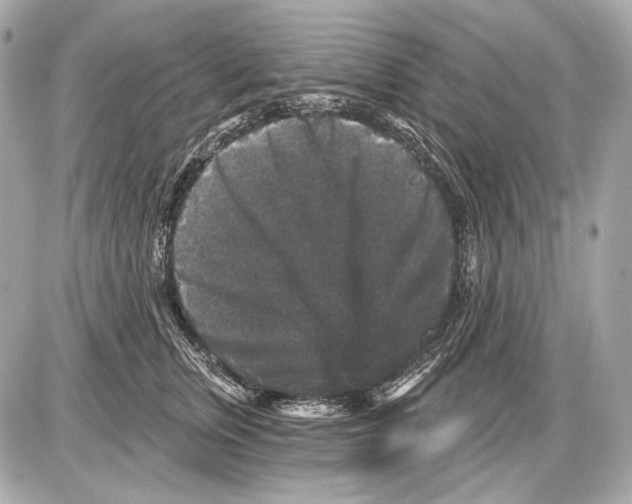 X0000085820759200704091632