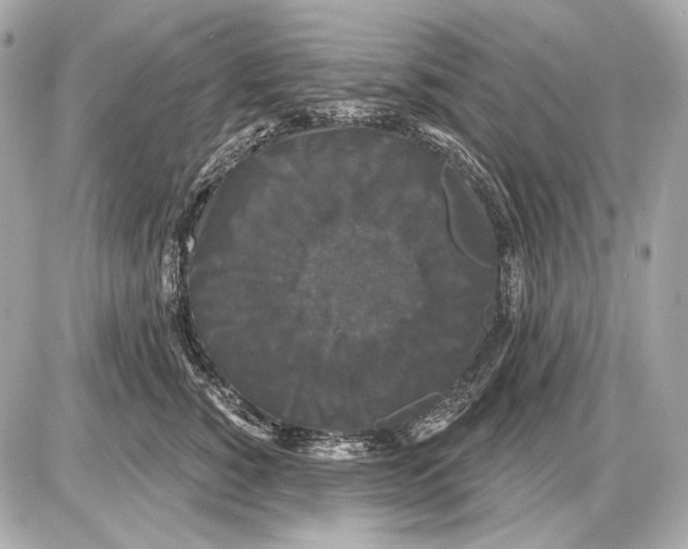 X0000085820760200704091632