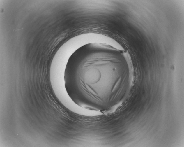 X0000085820762200704091632