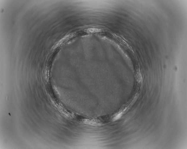 X0000085820763200704091632